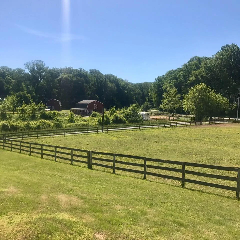 Summer Camp — Morningside Stables, LLC