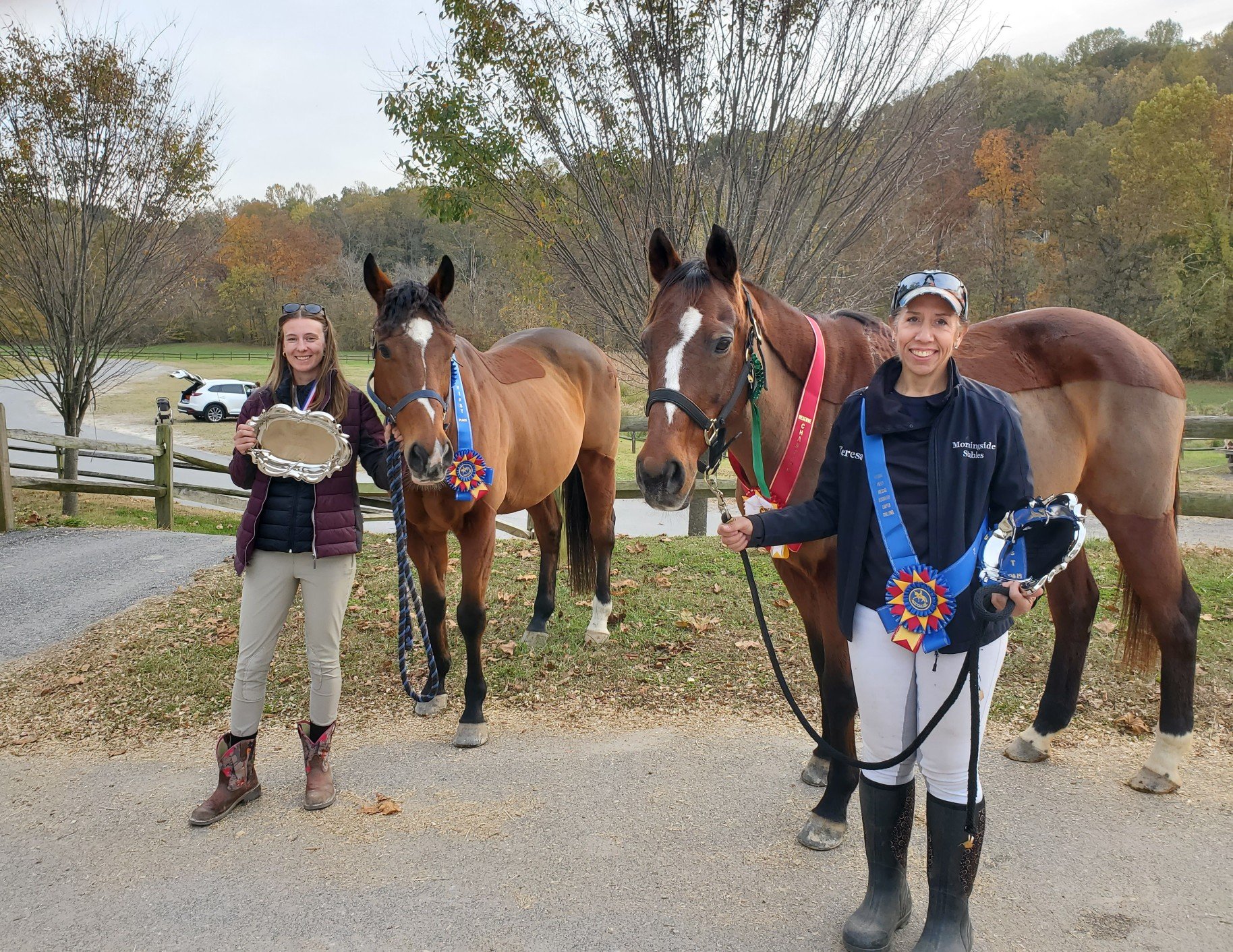 Dressage Team Clinic 