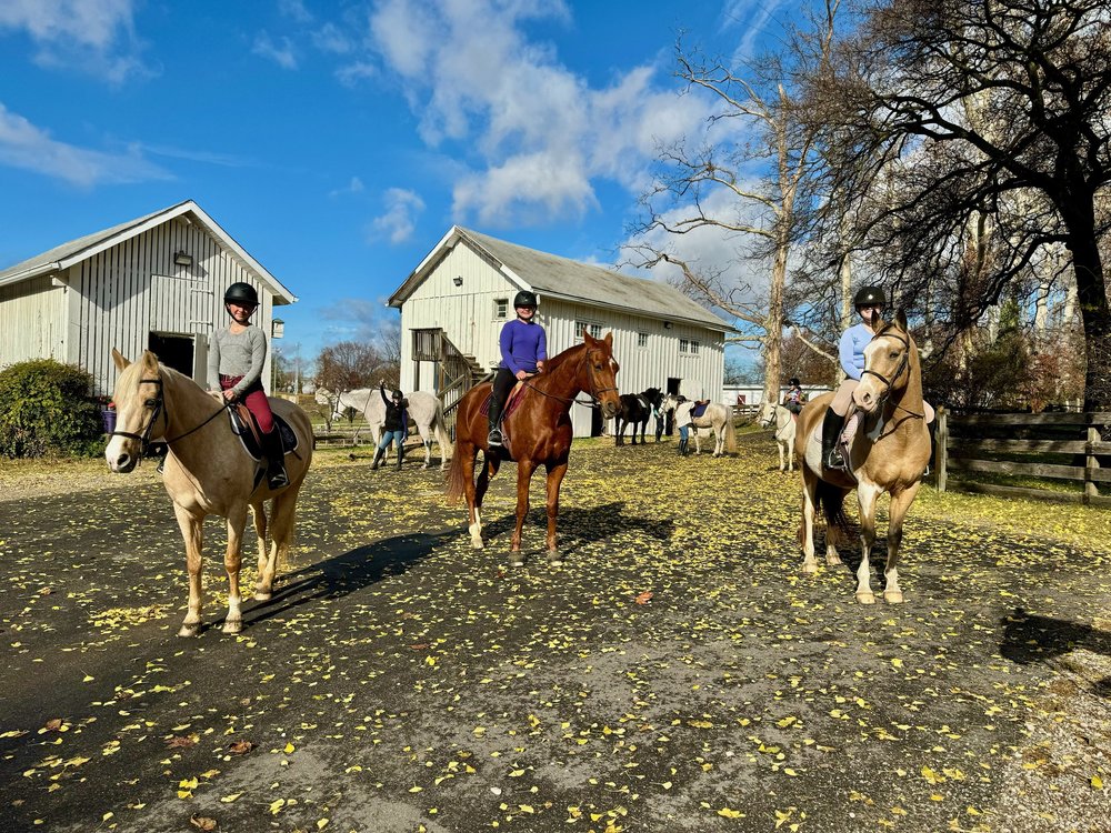 Summer Camp — Morningside Stables, LLC