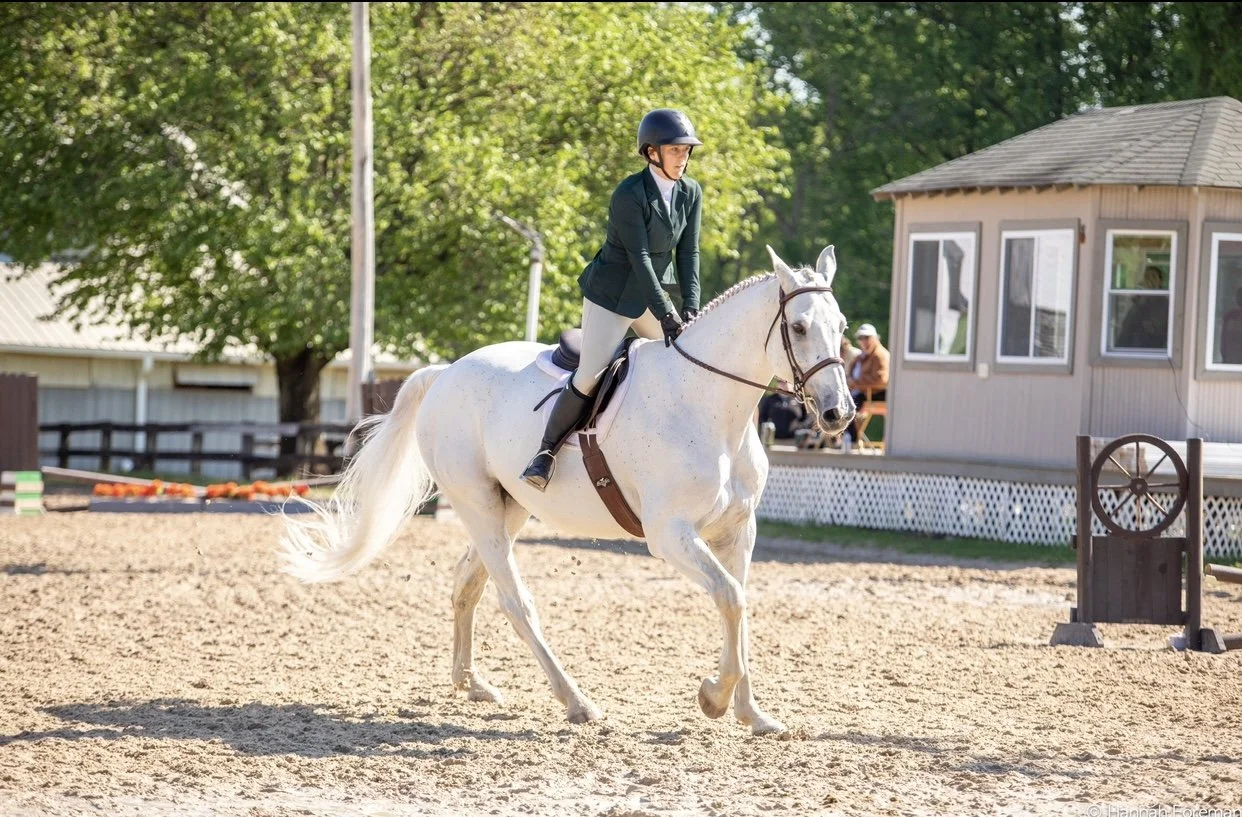 Leasing & Boarding — Morningside Stables, LLC