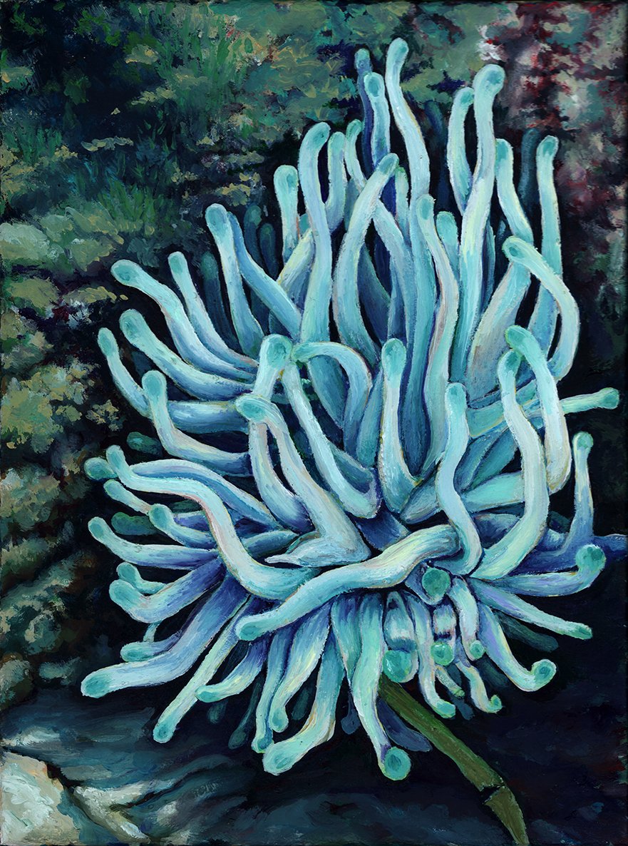 Sea Anemone, oil on canvas, 11"x9", $500
