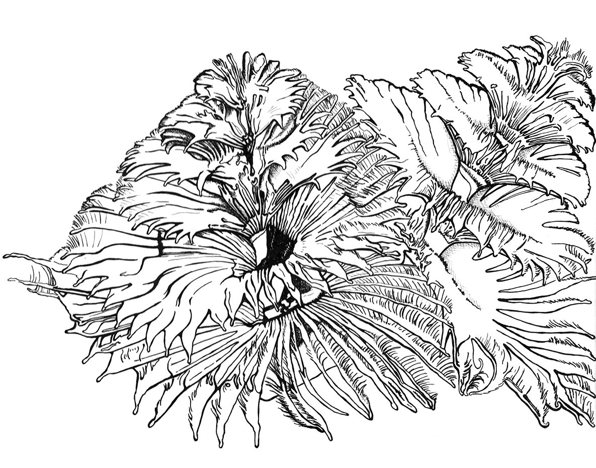 X-Mas Tree Worm