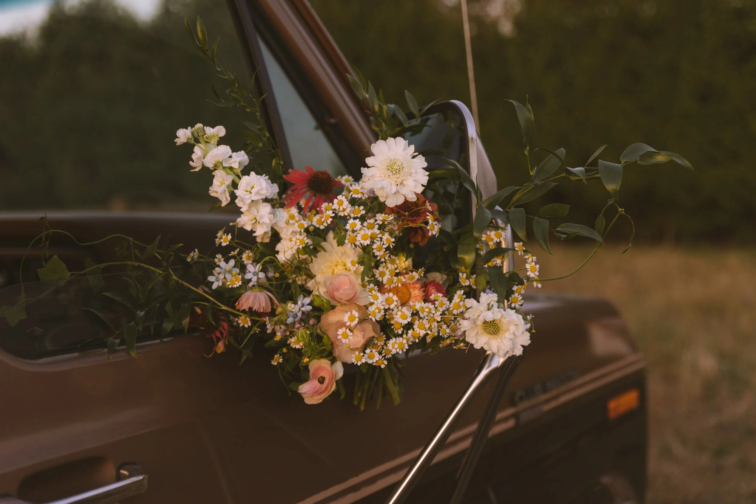 shelby-herfst.09.24-121.jpg