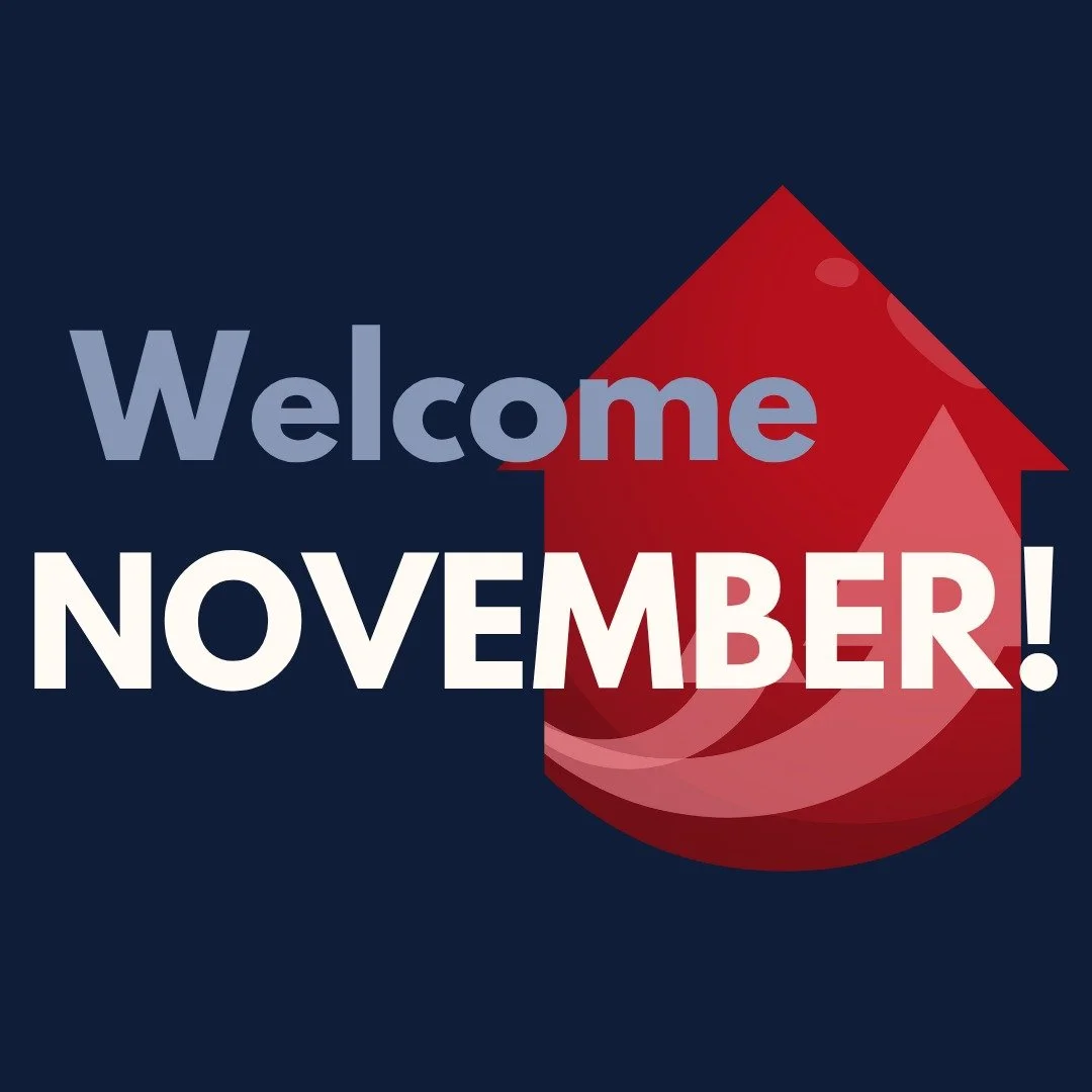 November Newsletter out now! 
Head to the link in our bio to check it out