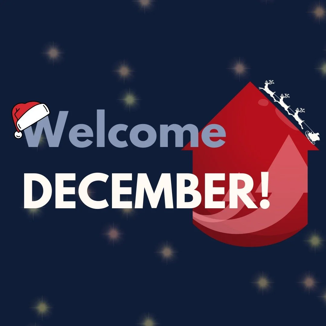 Our Final Newsletter of 2025 is now available!
Head to the link in our bio to check it out