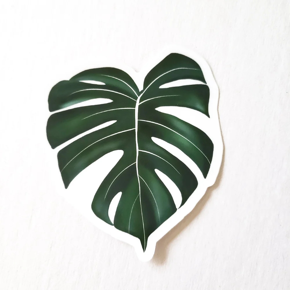 Monstera Plant Vinyl Sticker  Petals by Priya