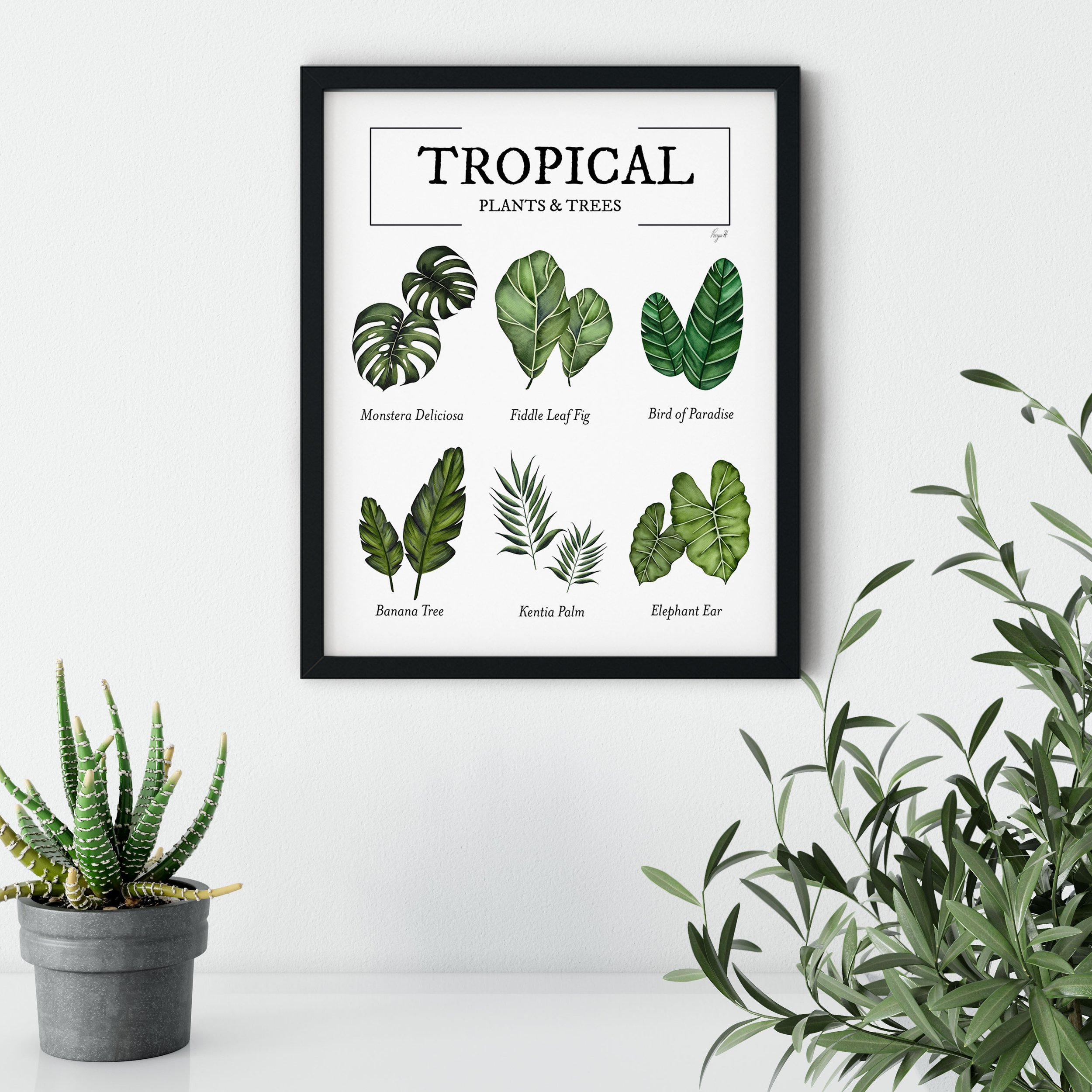 Tropical Plants & Trees 5.jpg