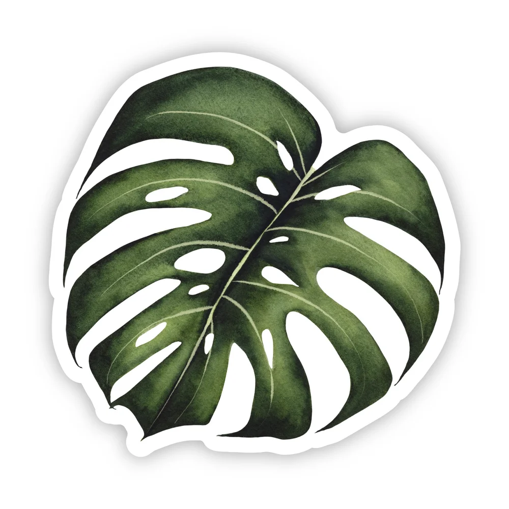 Watercolor Monstera Leaf - Vinyl Sticker  Petals by Priya