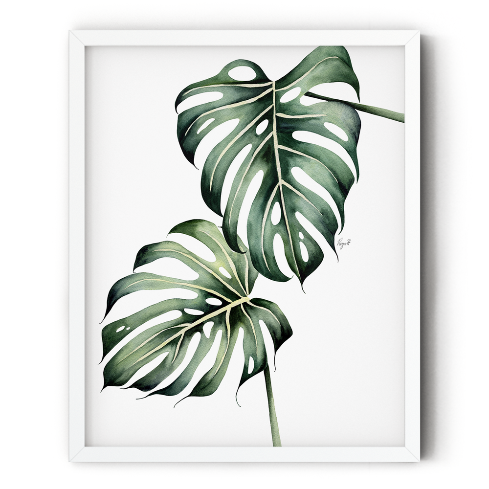 monstera splits Monstera 'Split-Leaf' 10