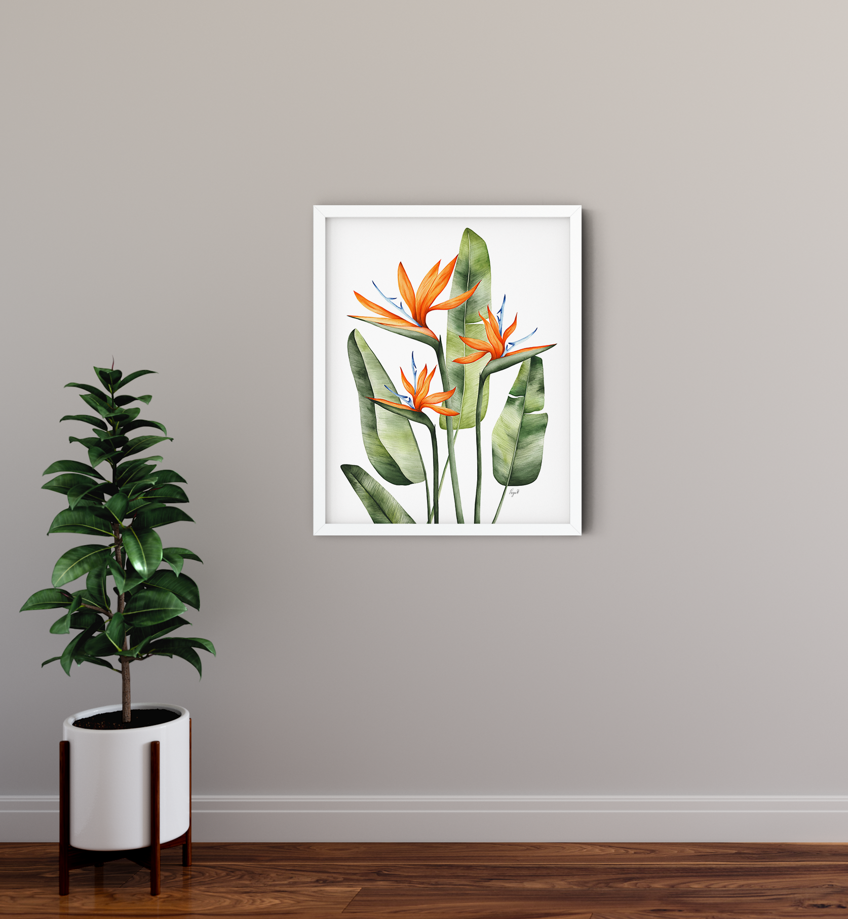 Birds Of Paradise3.png