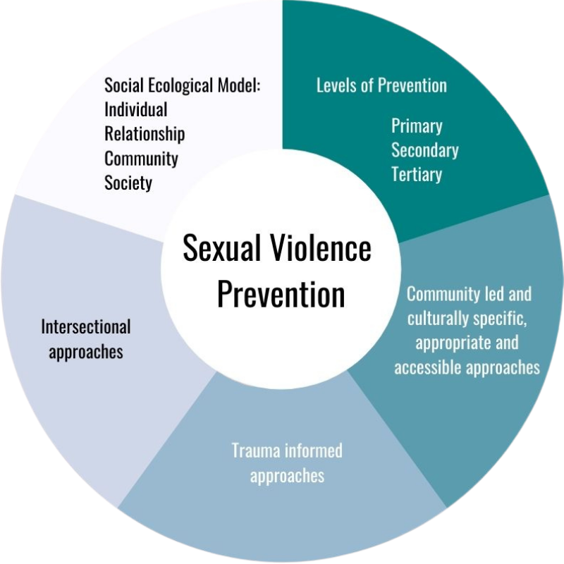 Sexual Violence Prevention Pie Chart2.png