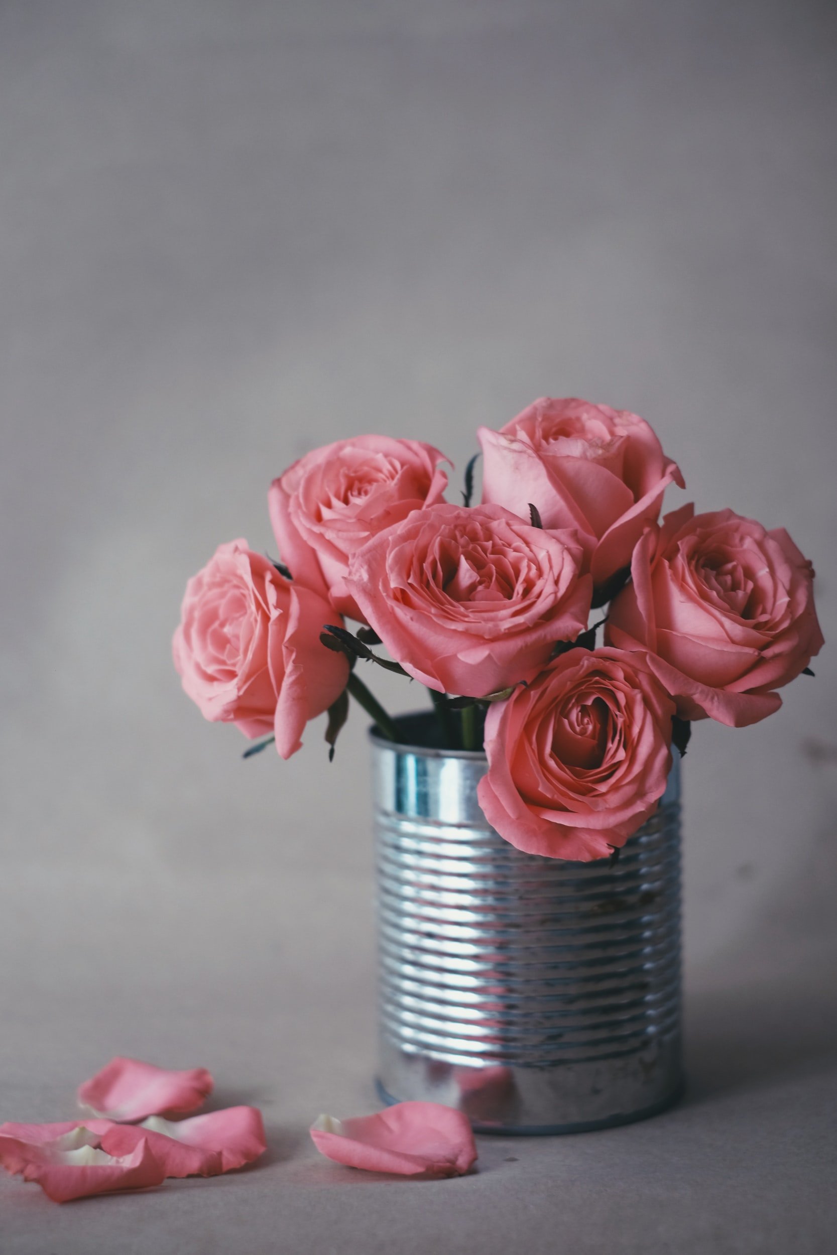 unsplash-image-AVBOmVU90Gk.jpg
