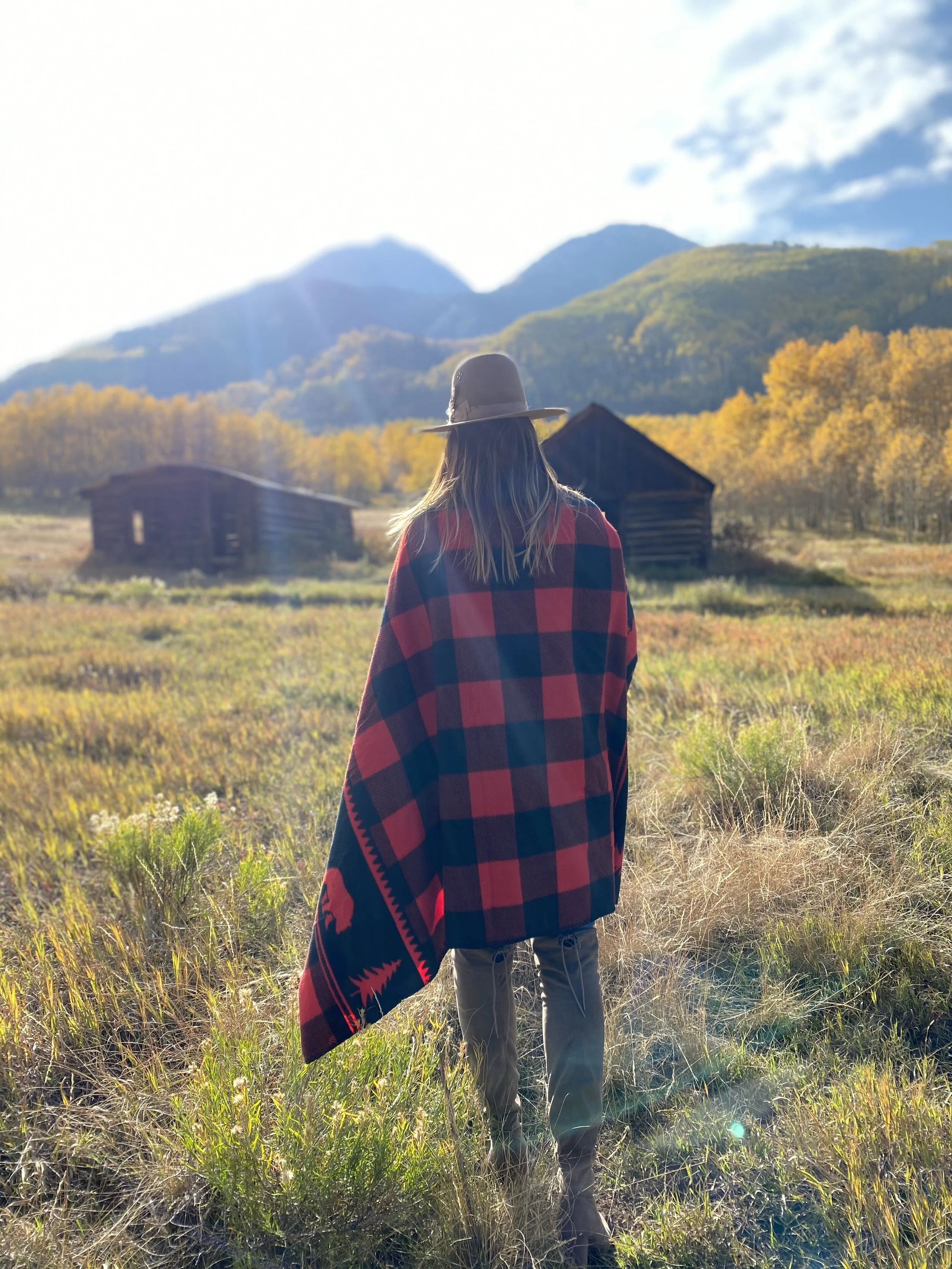 ASPEN IN THE FALL