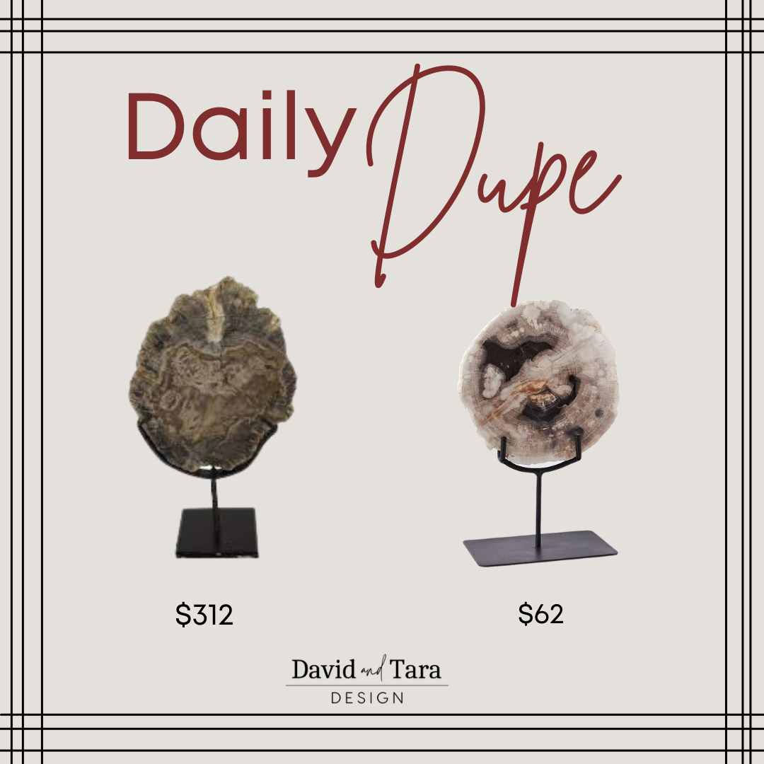 Petrified Wood Conversation Pieces