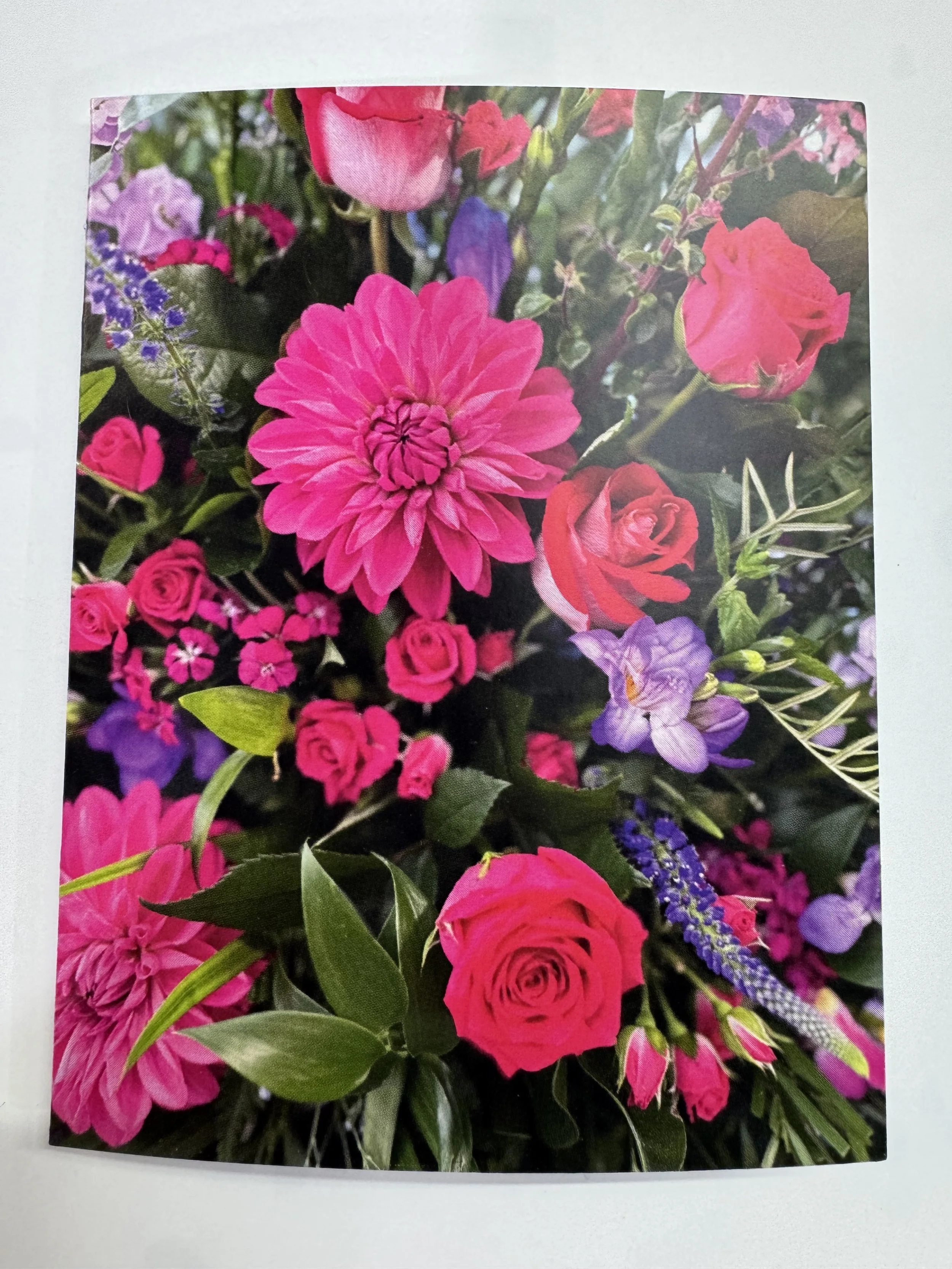 Card- Bright Pinks