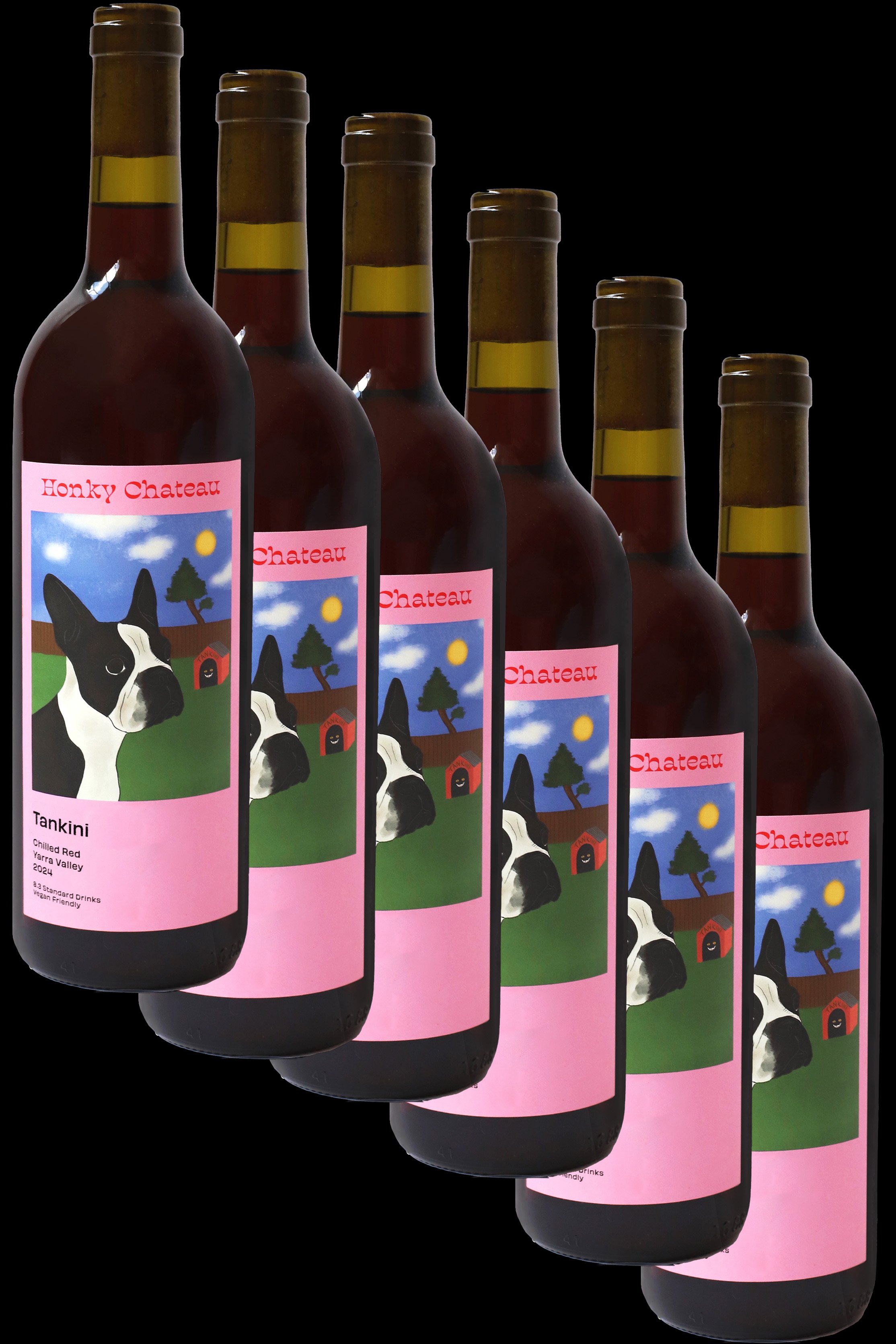 "Tankini Time" 6 pack