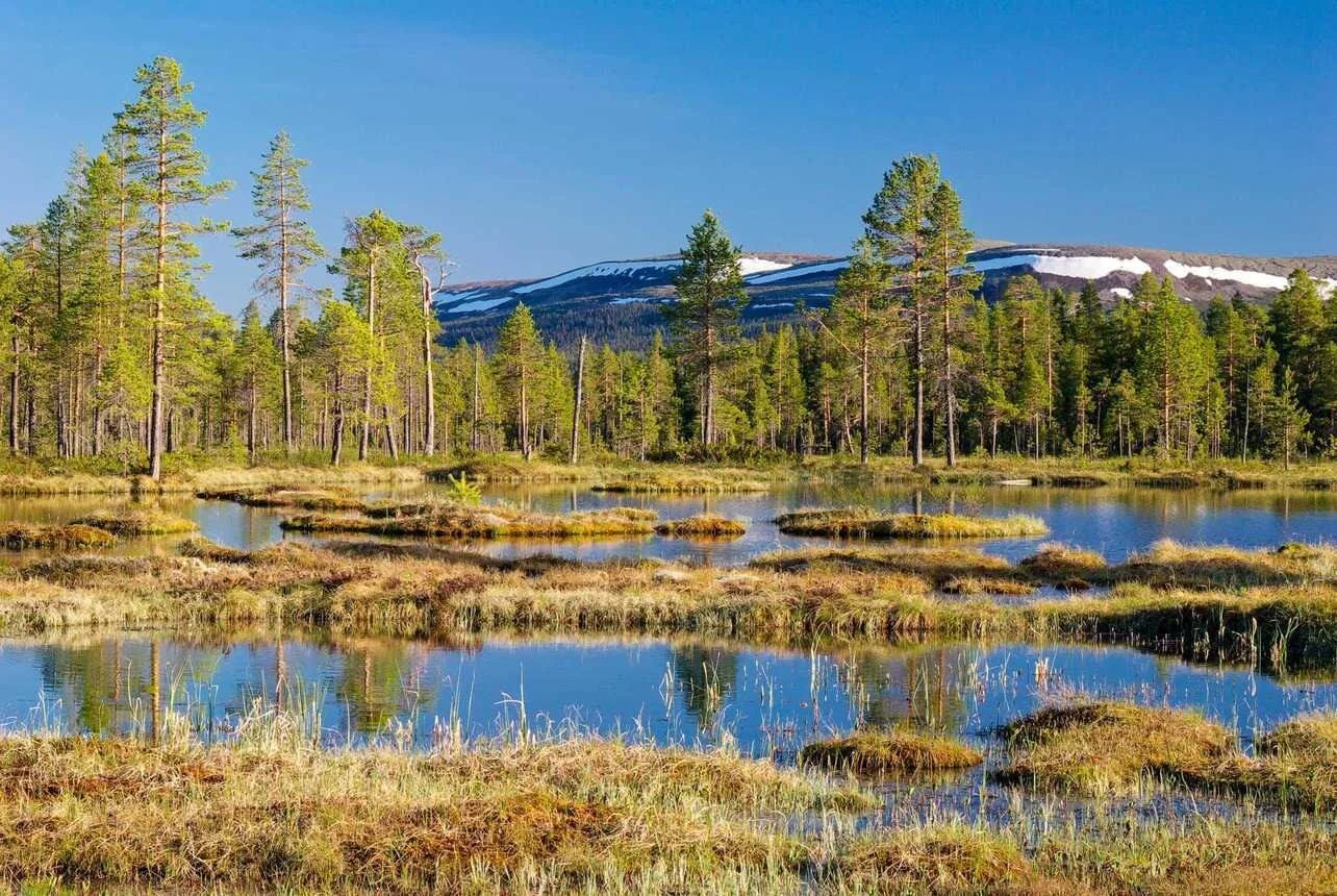 Photo by&nbsp;European Wilderness Network
