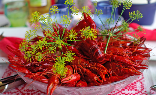 What Is A Kräftskiva, Or Crayfish Party?
