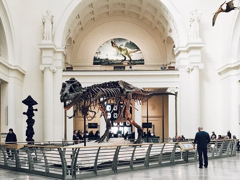Sue the T-Rex