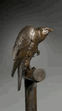 Bring the hawk to life