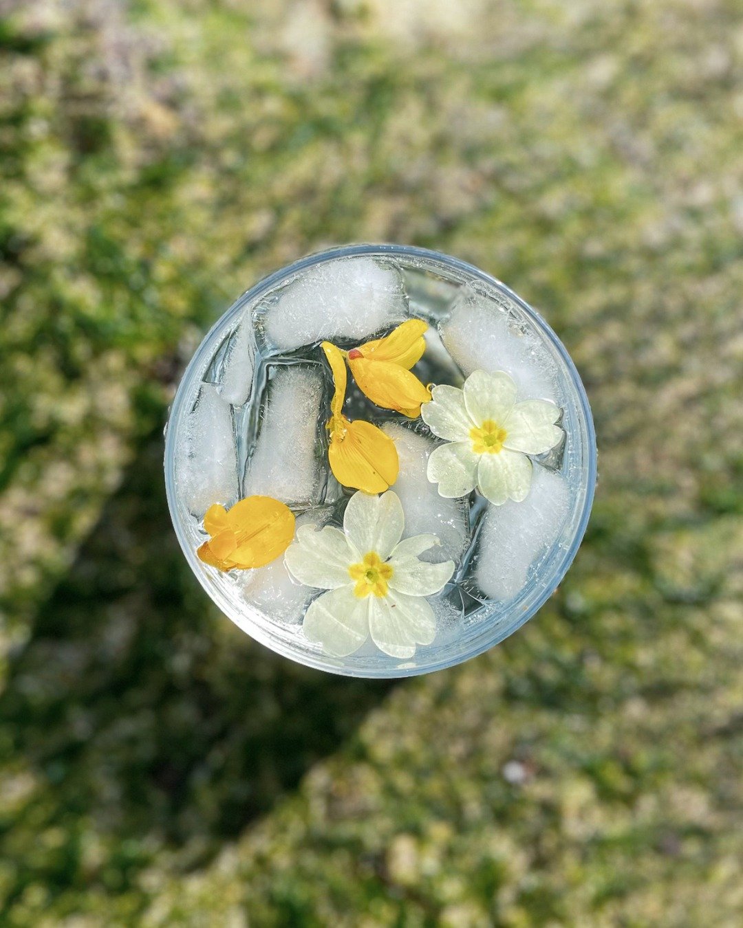 For us, spring feels like the true beginning of the year. 🌿

When nature starts to wake up and the days get longer, it&rsquo;s the perfect time for a G&amp;T. And if you&rsquo;ve got primrose petals or a few gorse flowers nearby, they make a pretty 