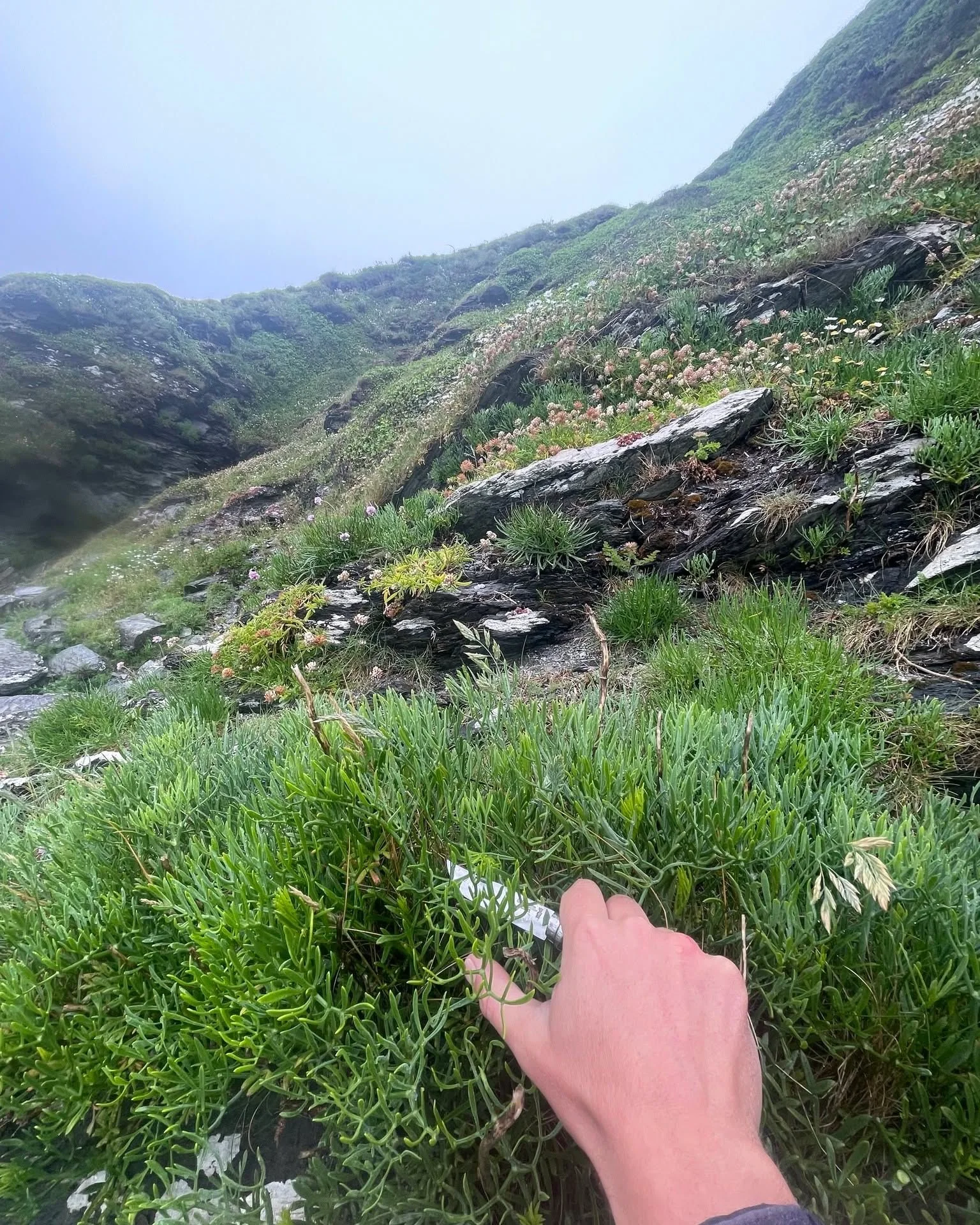 The Distillers Palette 
Gin is an art form -  our palette comes from nature. πΏ
Each season adds its own brushstroke - coastal freshness in spring, wild florals in summer, and the soft spice of autumn air.
Crafted by hand, inspired by the Cornish