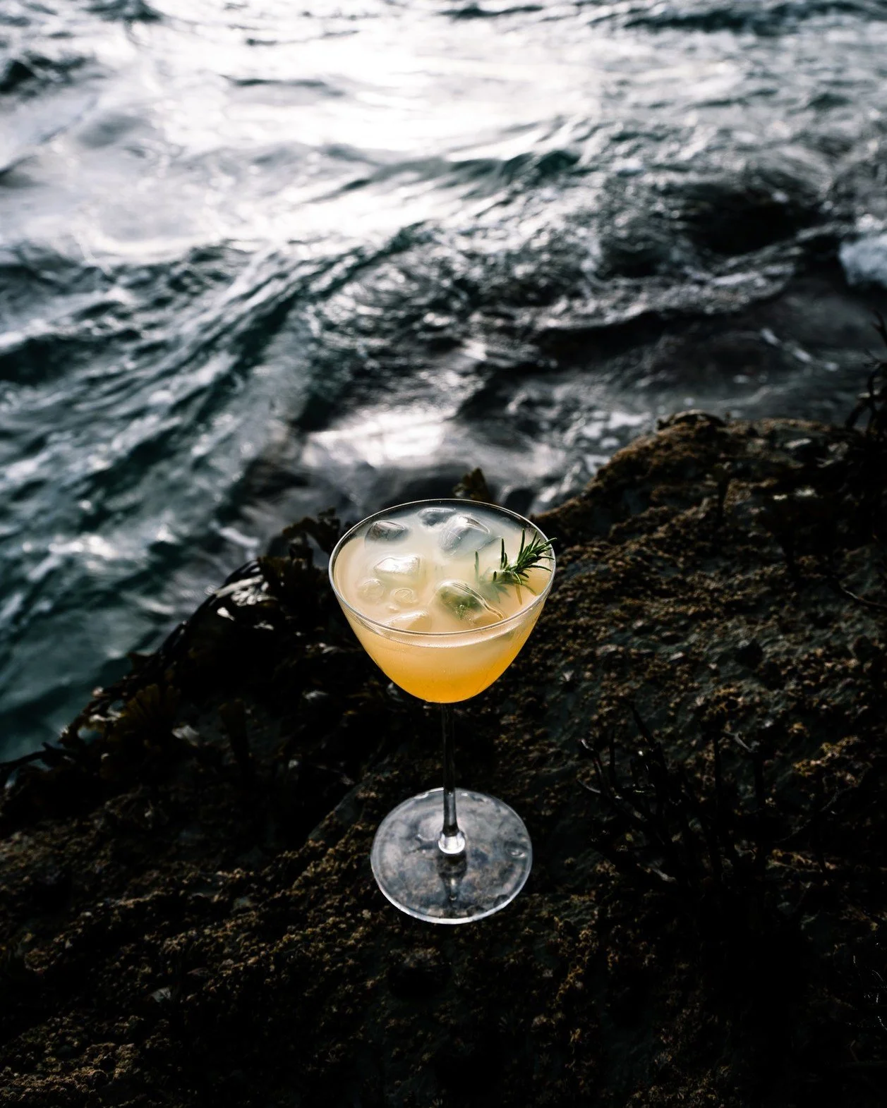 As the tides turn and autumn deepens, we pour an Autumn Tide. 🌊 

Our Autumn Tides cocktail blends Lantic Winter Gin, spiced pear syrup, and a hint of citrus &mdash; a serve that carries the freshness of the sea and the softness of the season. 🍐

S