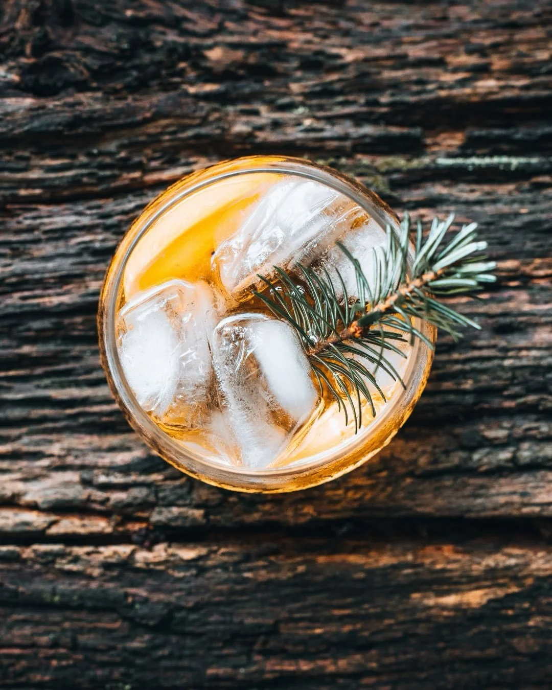 Winter in Cornwall has its own quiet magic. 🍁

While some might call it dark and wet, Arki and I relish the stormy coast, long walks through the woods and early nights. The perfect excuse to light the fire and enjoy the gin that was made for this se