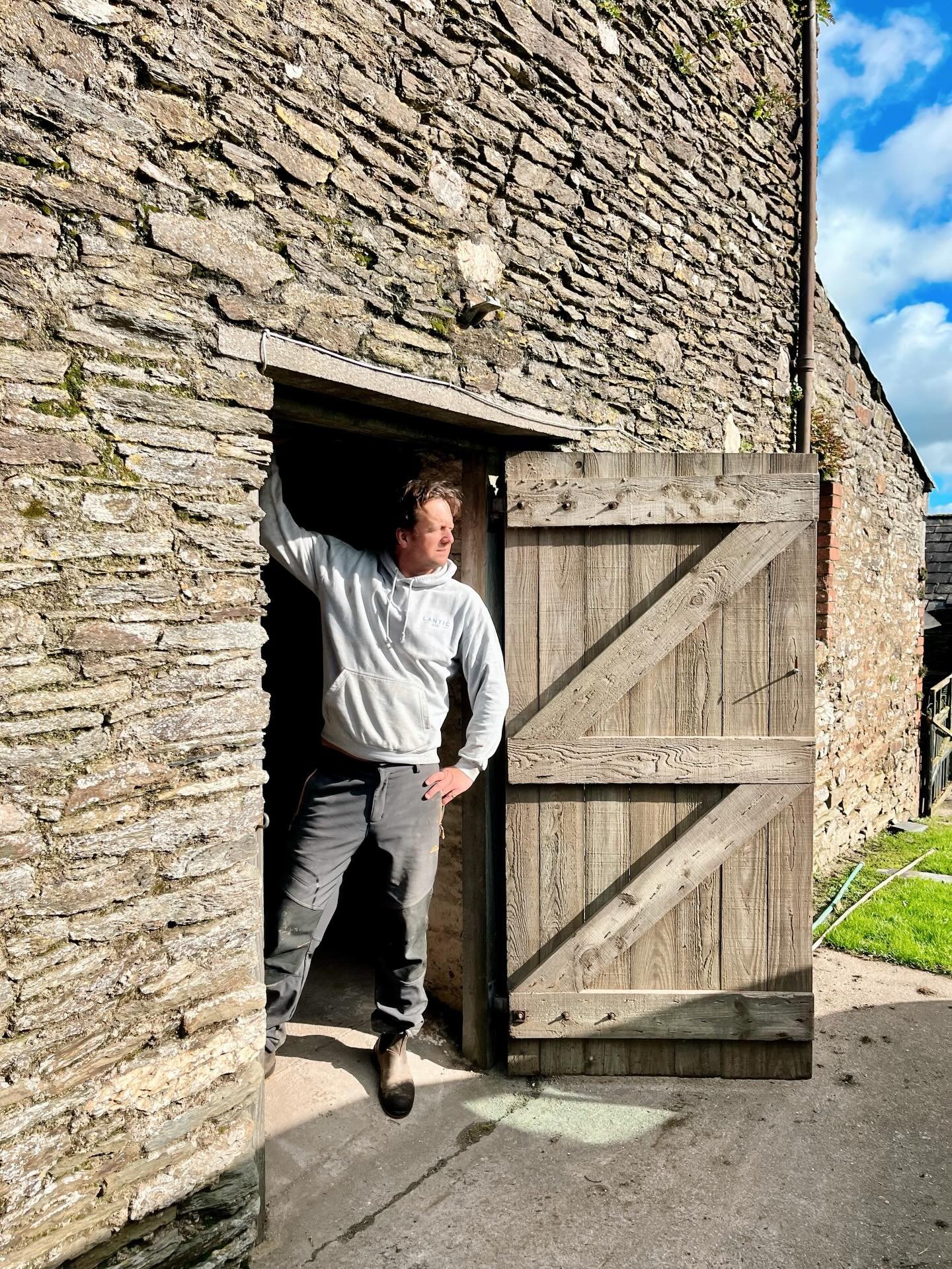 It&rsquo;s been a long wet winter. Even by Cornish standards. 

Yesterday felt like spring is here. Blue skies, gorse and daffodils turning everything yellow. Arki watching lambs on our next door field. 🐑☀️