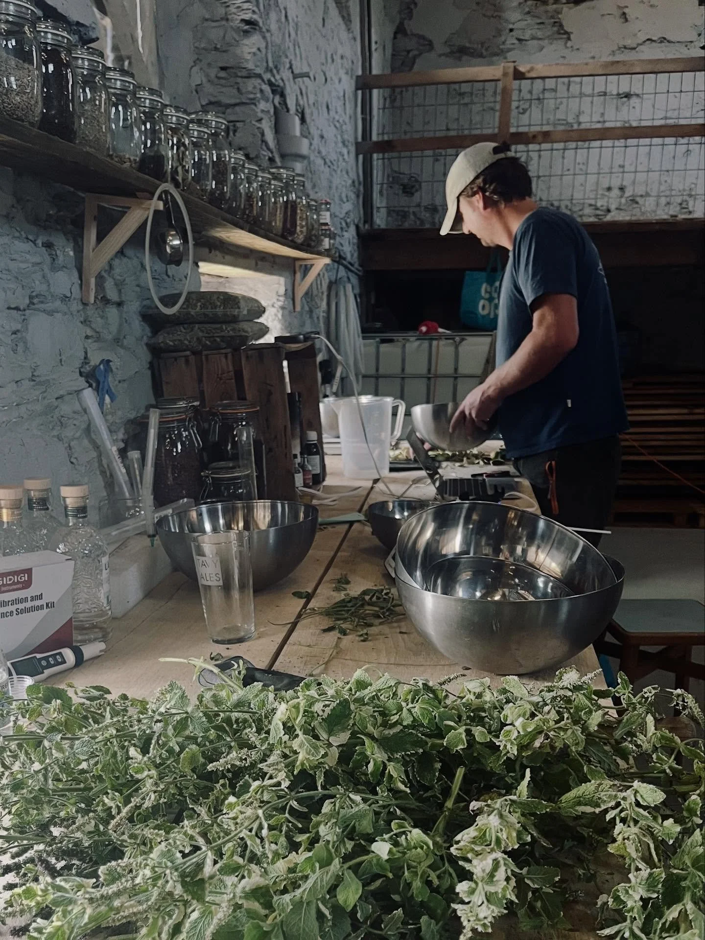 Our new home 🍃

This summer, we transformed an old stone granary barn into the new home of Lantic Gin.

With sweeping views across fields to the coast, skylarks overhead, and lambs bleating nearby, it feels like the perfect place to grow and create.