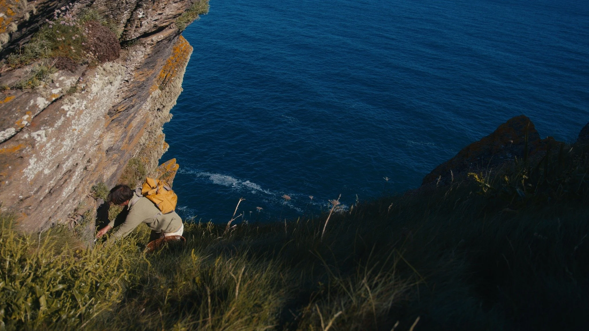 🌊✨ Wild, Fresh, Coastal ✨🌊
Here on the rugged Cornish cliffs, we hand-pick wild rock samphire &ndash; a key botanical in Lantic Gin. Its vibrant, salty freshness captures the very essence of the sea, bringing a unique coastal note to every sip. 🌿?