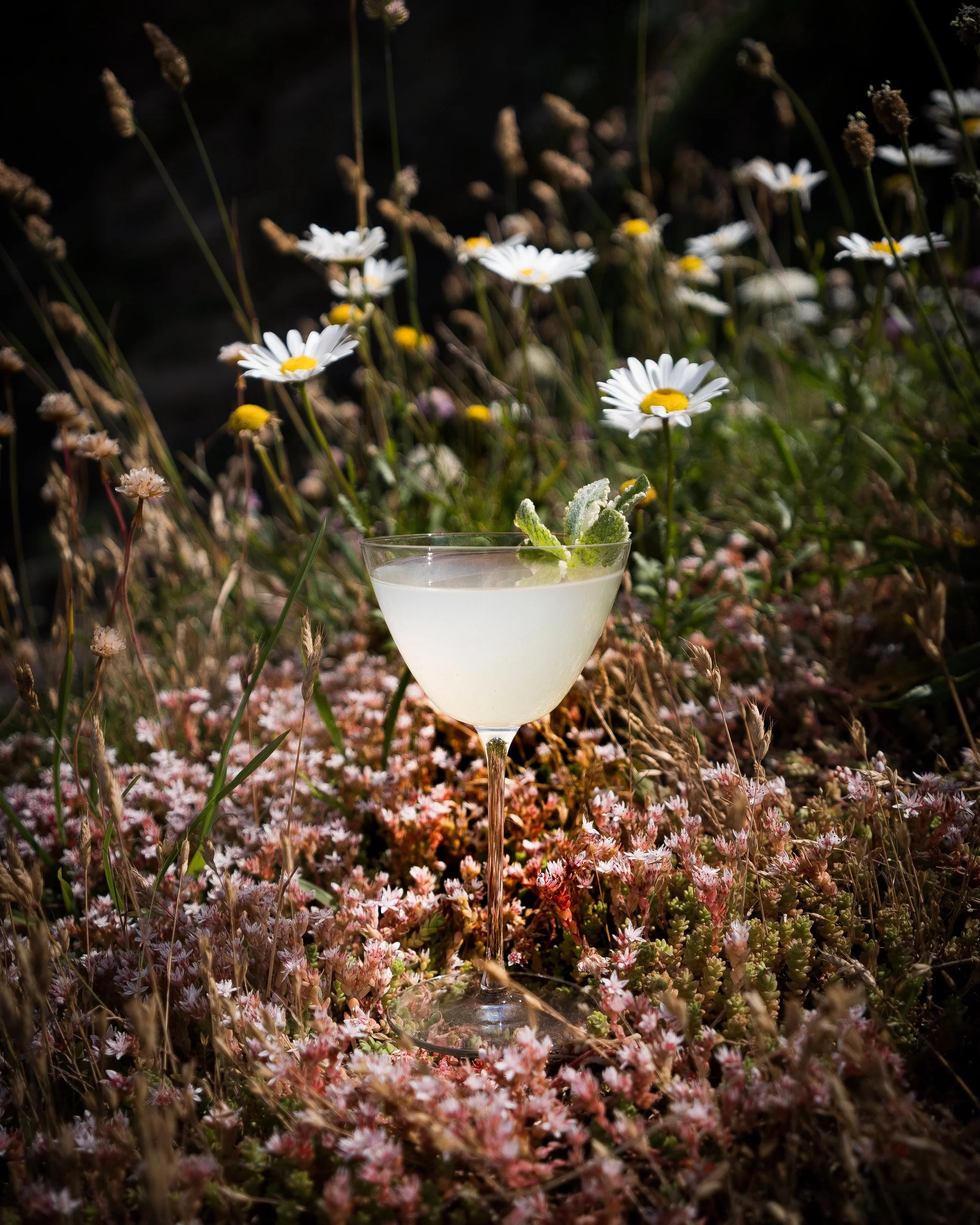 Here&rsquo;s one of my favourite drinks to enjoy on long summer evenings like this. ☀️

All you need is fresh mint, plenty of lime and just enough sweetness to let the elderflower, honeysuckle and wild strawberries in Lantic Summer Foraged Gin shine.