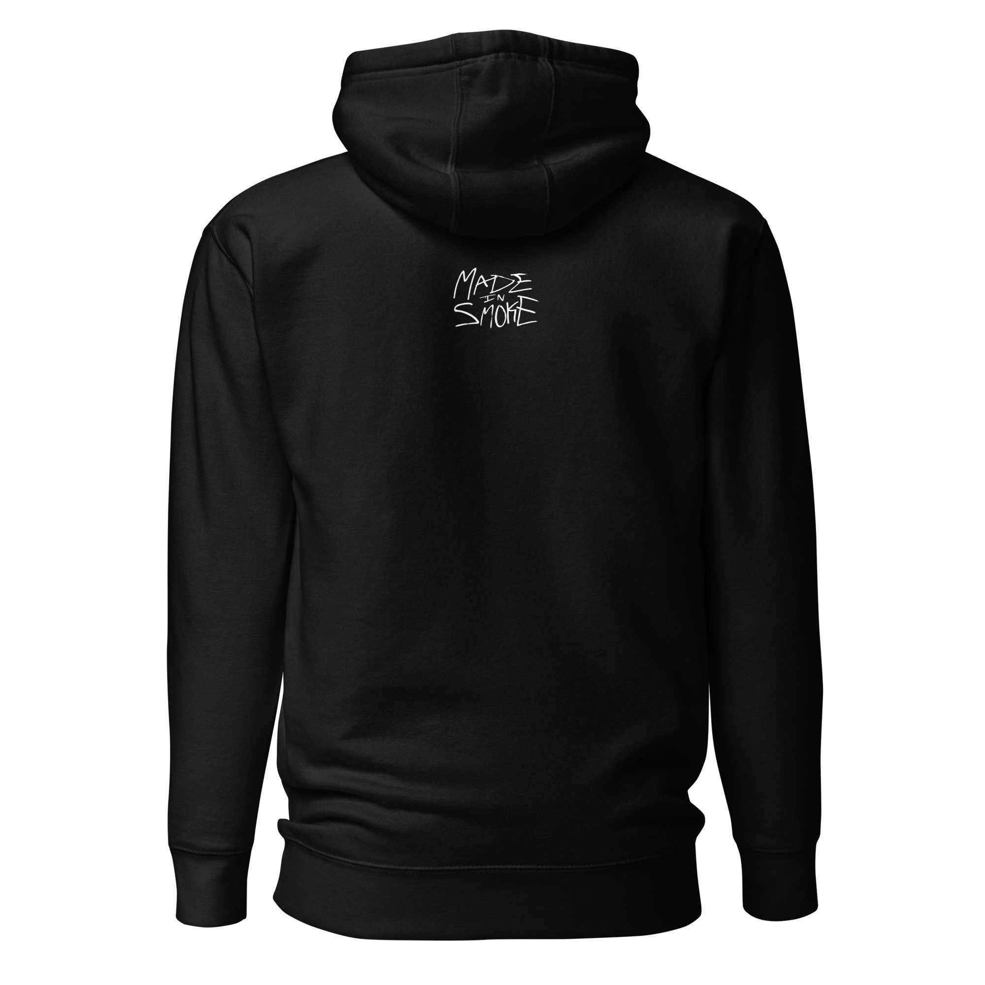 unisex-premium-pullover-hoodie-black-back-69e26de0cb0c5.jpg