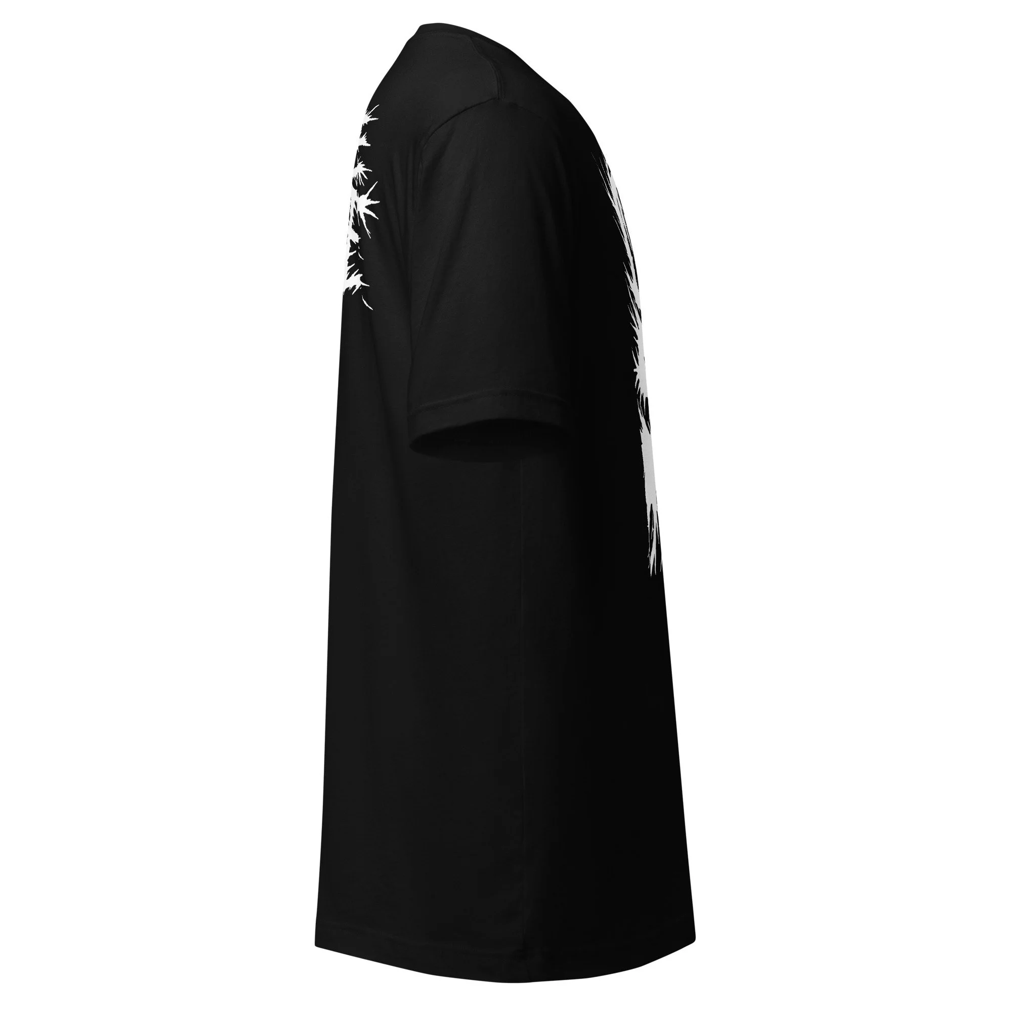 unisex-staple-t-shirt-black-right-6a50d22aa8682.jpg
