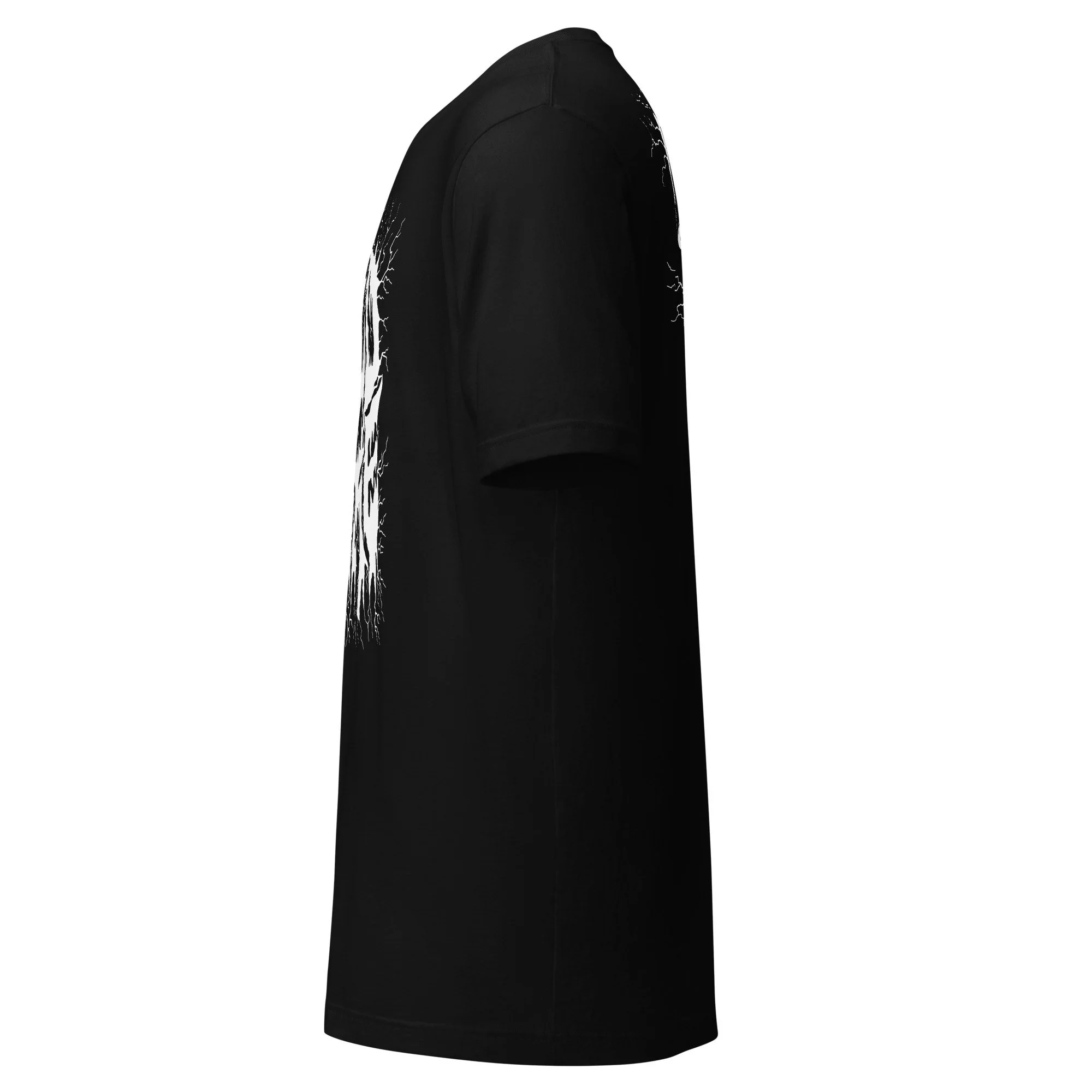 unisex-staple-t-shirt-black-left-6a50da59a9c80.jpg