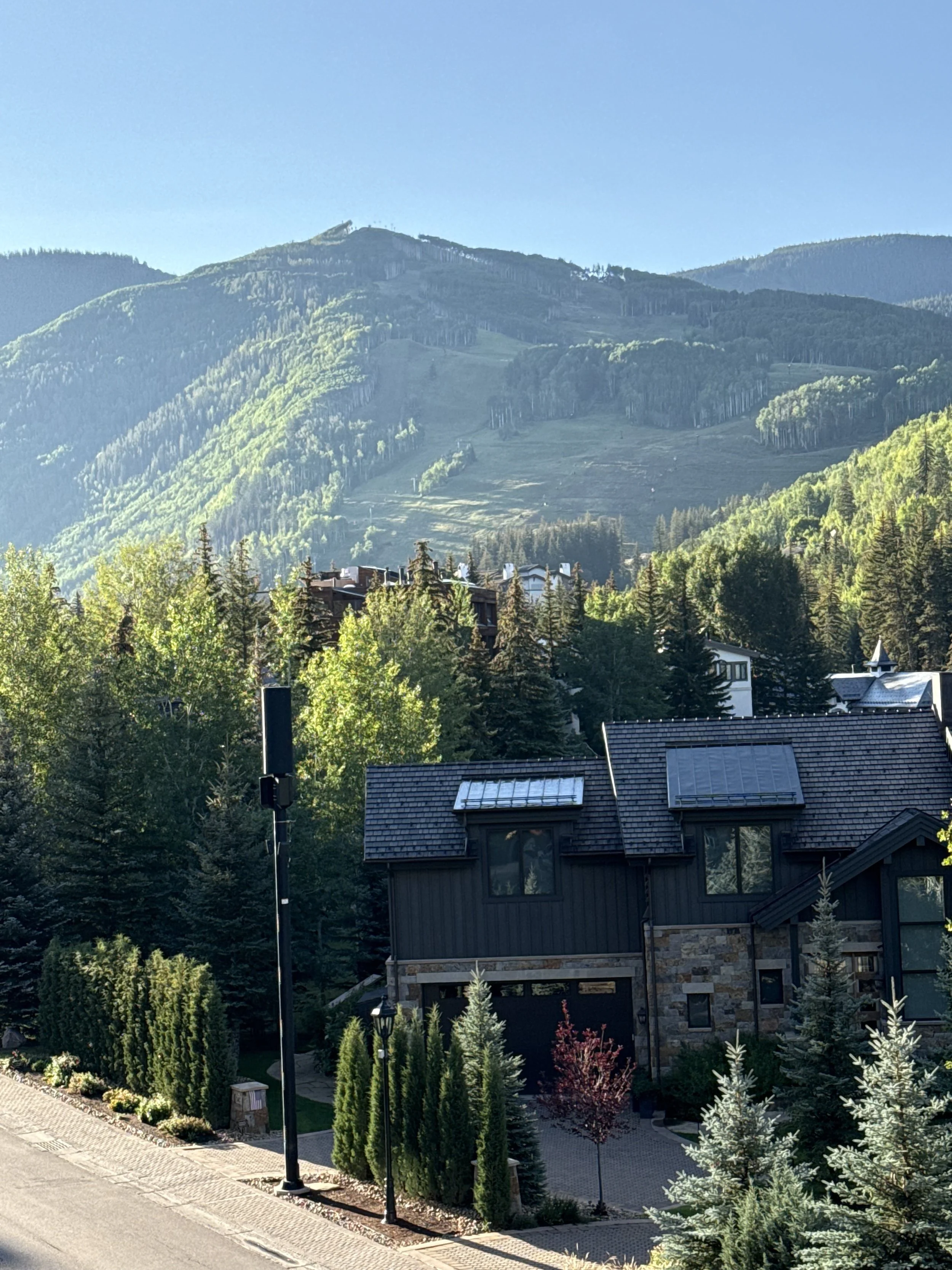 Mountain residences surrounded by green slopes and trees in summer