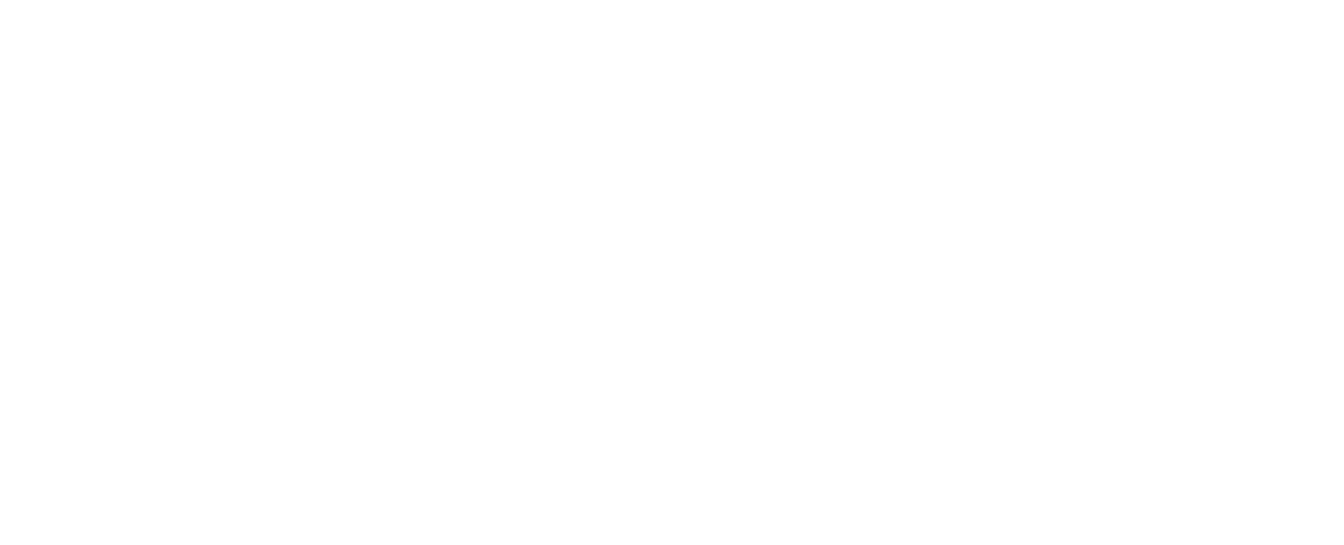 Aspen Valley Investments
