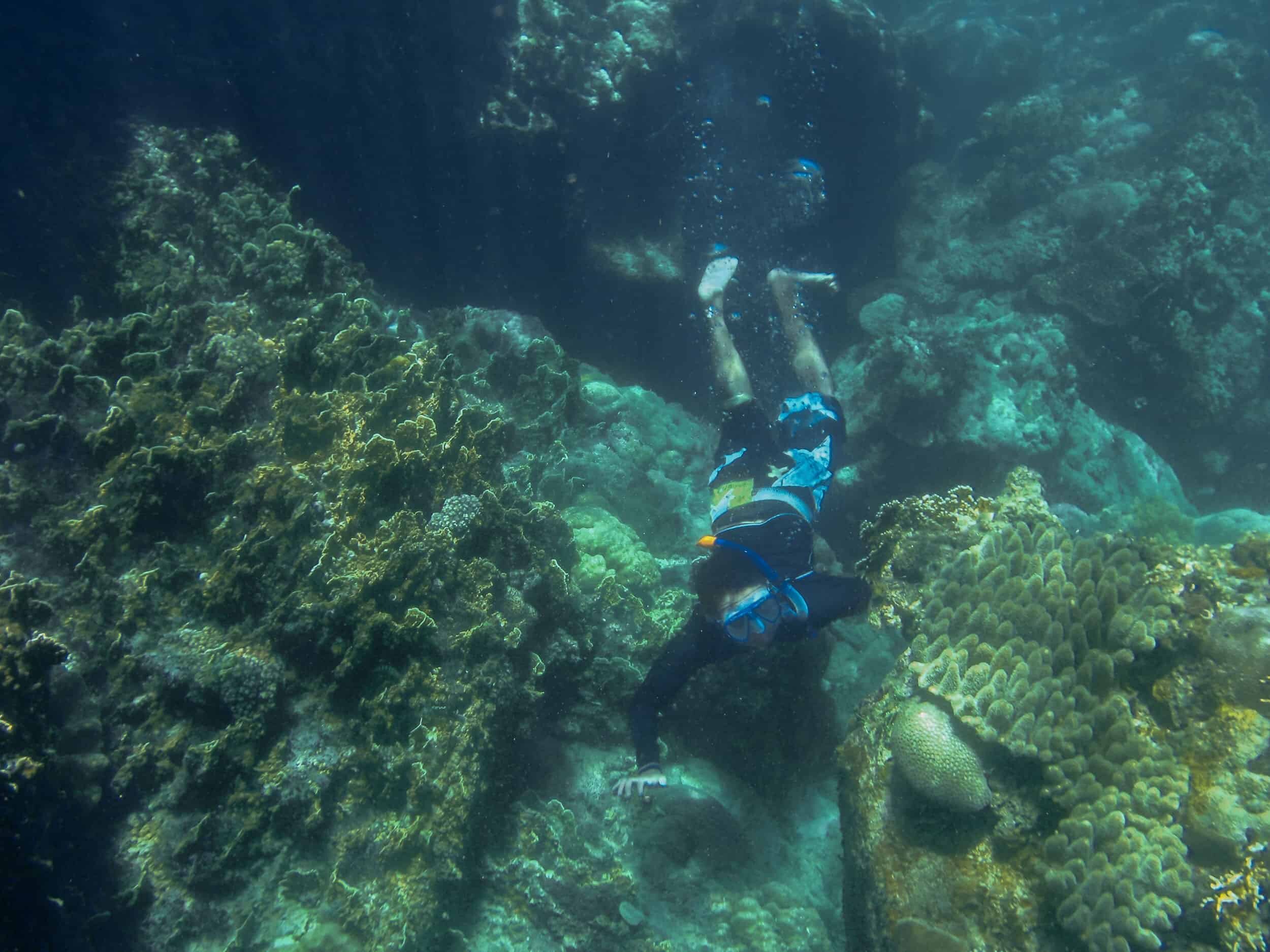 Apo Island Rock Formation - Underwater