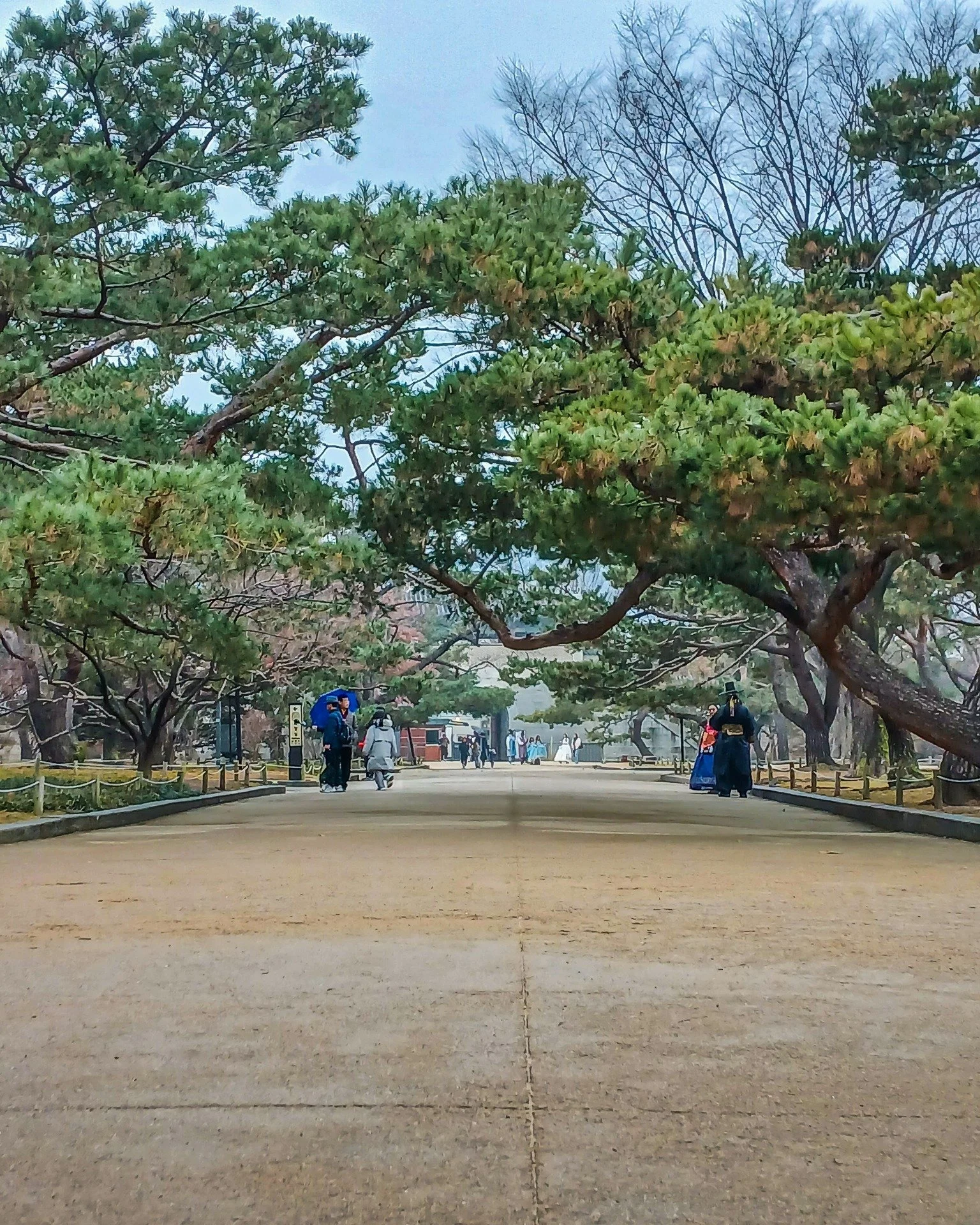 Gyeongbokgung Palace 📱

If you love travel stories, food trips, and honest reviews,
👉 https://www.kingtolentino.com

#KingTolentinoTravels #TravelWithKingTolentino #KingTolentinoExplores #Seoul #SouthKorea