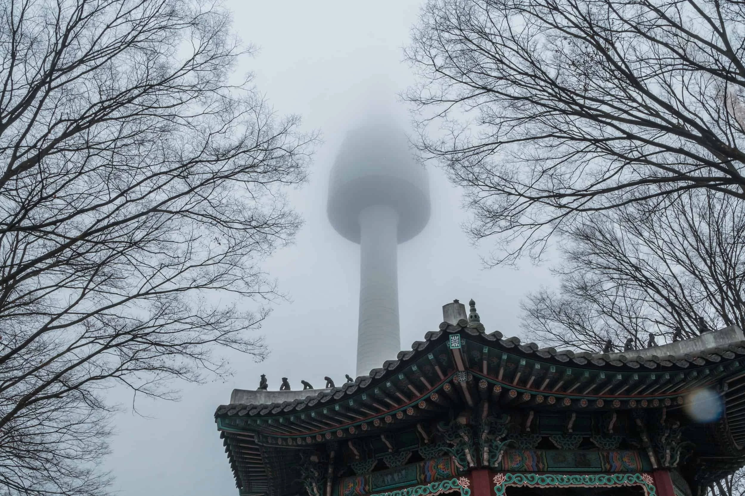 Namsam Seoul Tower | Must-Visit Place in Seoul, South Korea