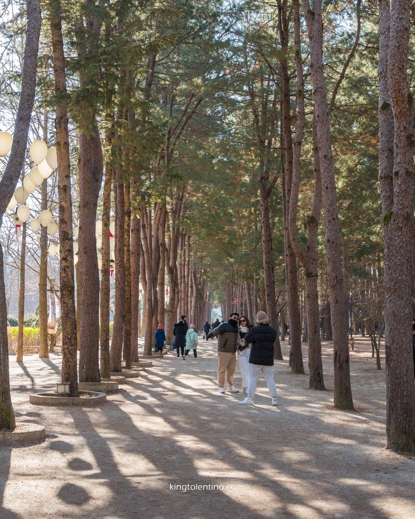 Nami Island 🇰🇷
#TravelWithKingTolentino #KingTolentinoExplores #KingTolentinoTravels #Seoul #SouthKorea