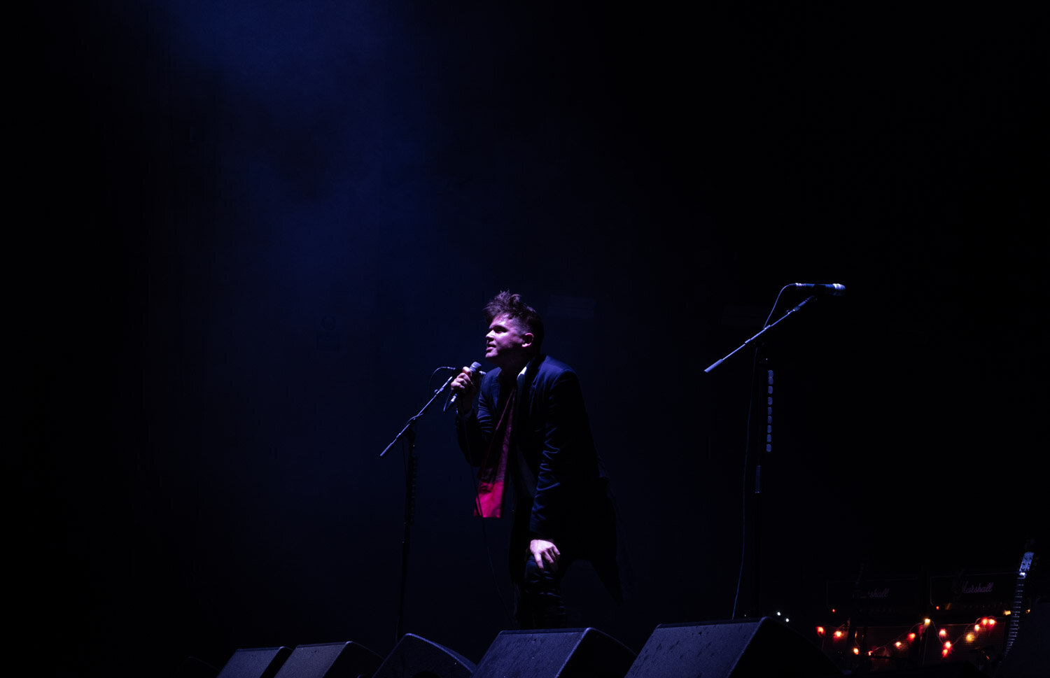 Sophie Sheehan Copyright The Libertines Brixton Academy Webs Sized A  604.jpg