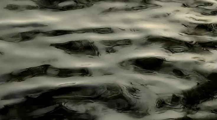 Bowerbirds "Northern Lights"