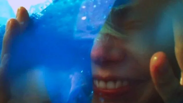 Wild Nothing “Paradise”