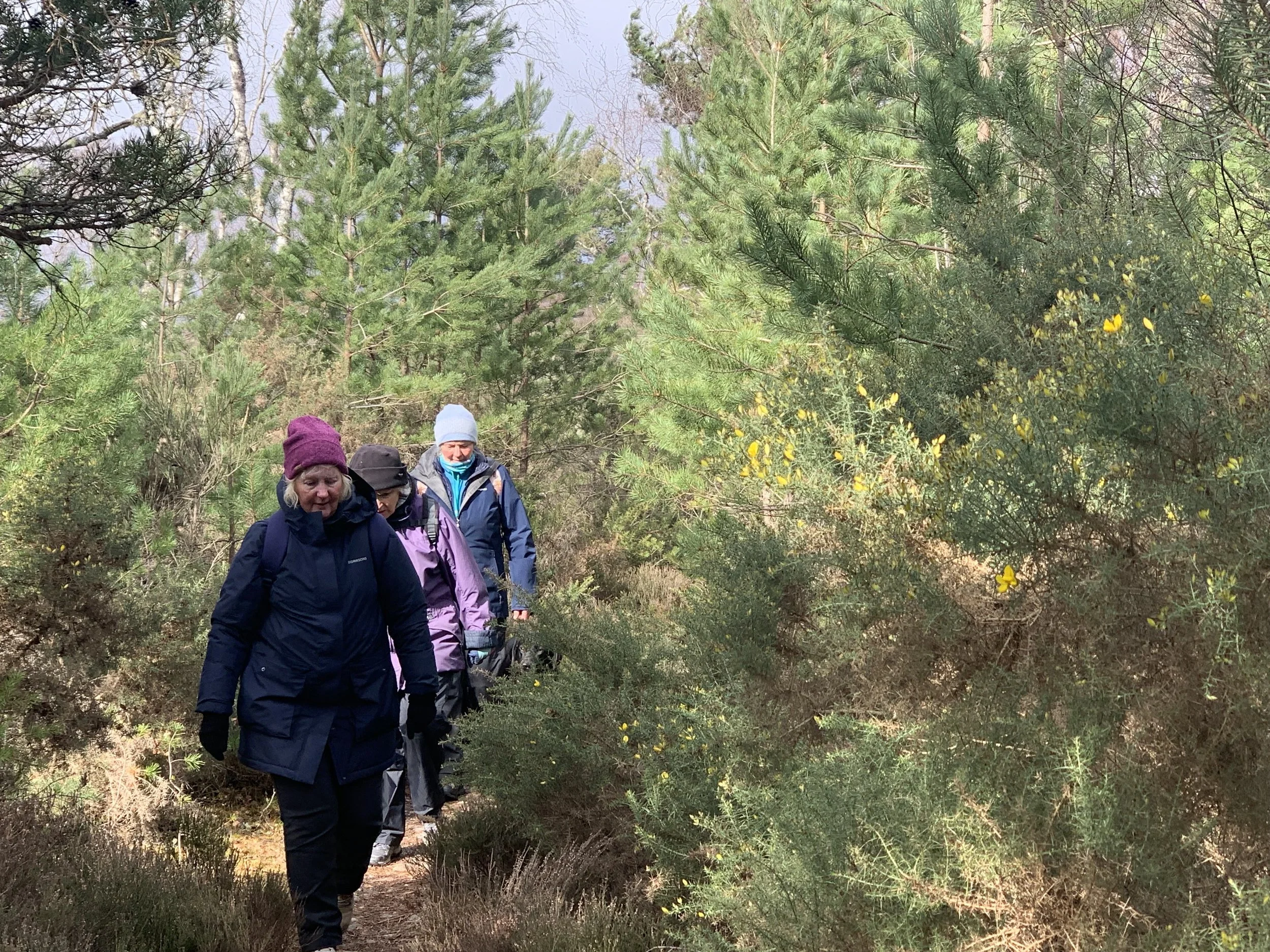 Tomatin - Wednesday afternoon