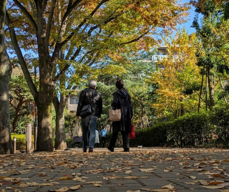 Beauly Short Wander - Monday afternoon