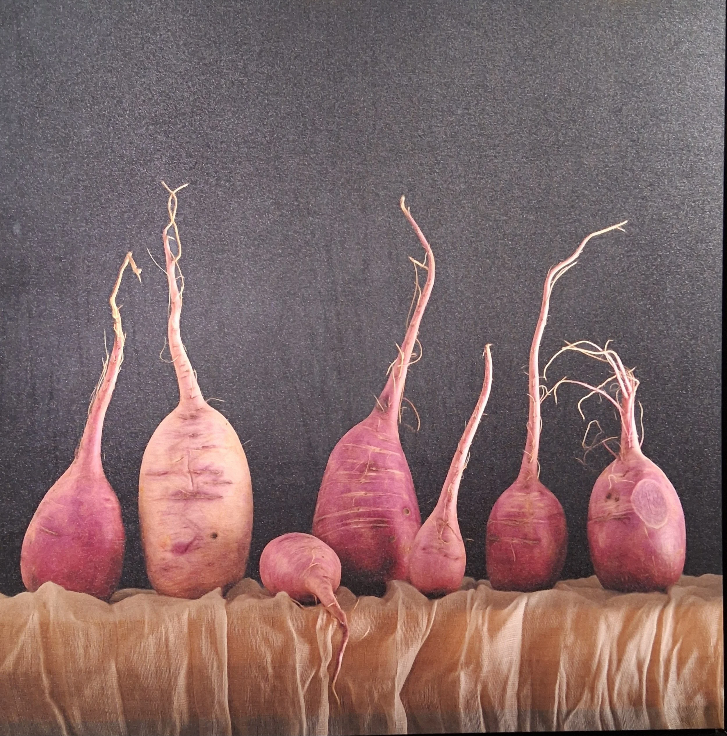 Annual Members' Award Exhibition