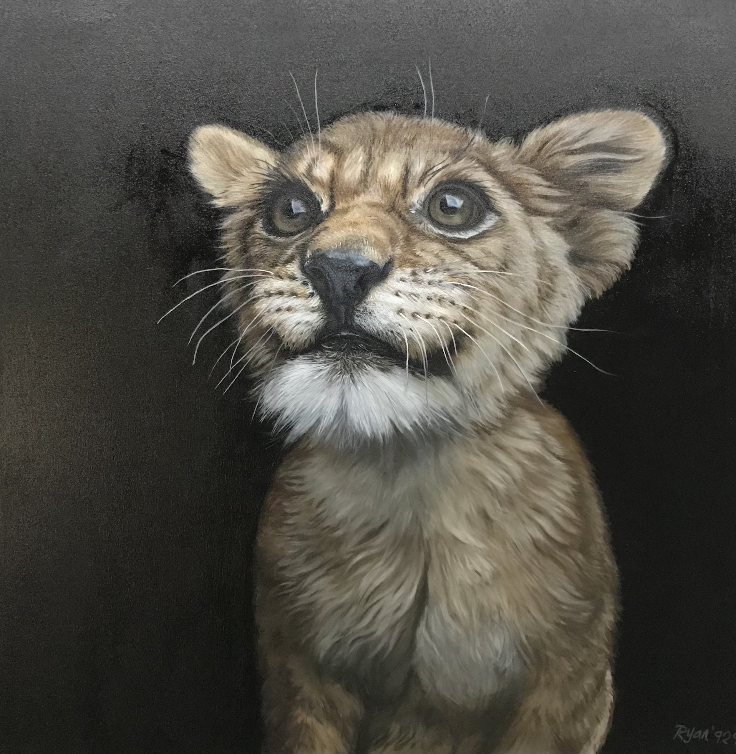 "Lion Cub" (Copy)