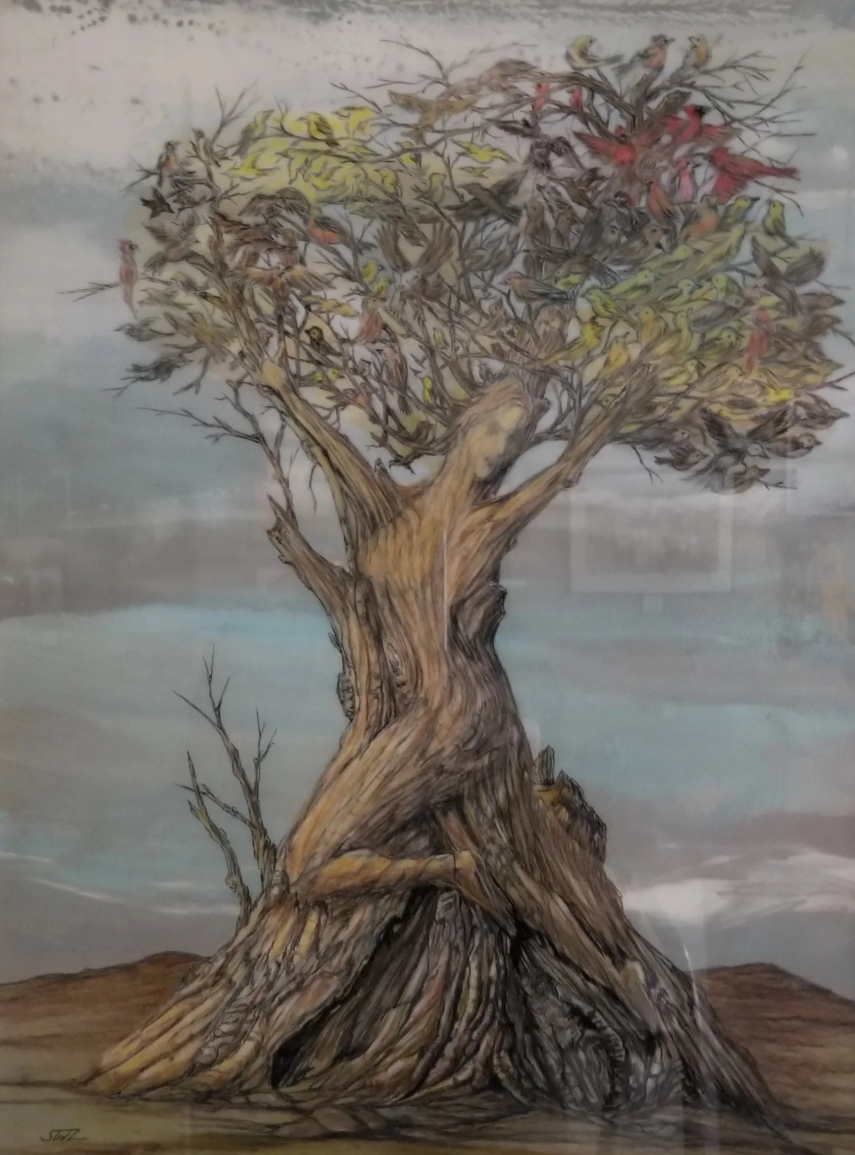 Recognition "Portrait of a Tree" by Robert Stinziano