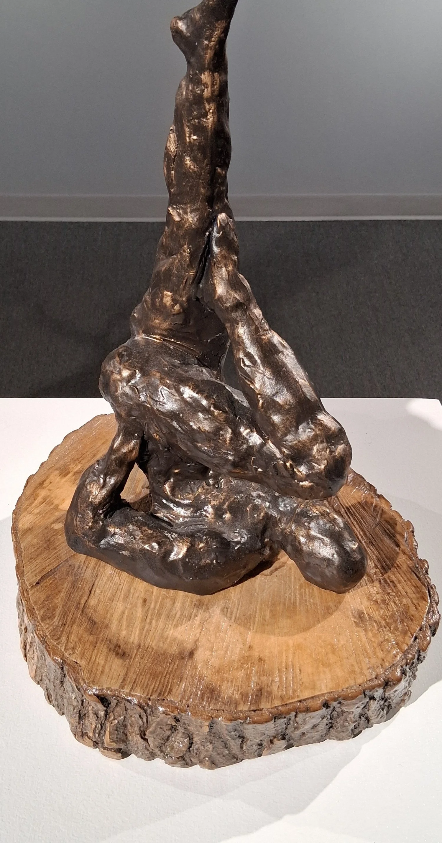 Achievement "Balance" by Vera Gubnitskaia